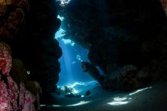 DSC_2182-scaled