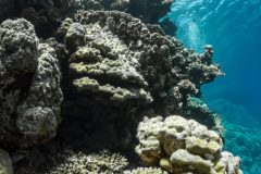 DSC_7396-scaled