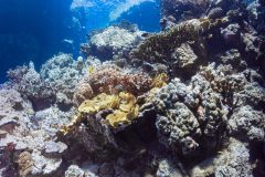 DSC_7425-scaled