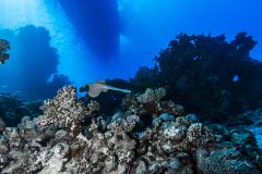 DSC_7594-scaled