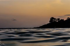 DSC_7649-scaled