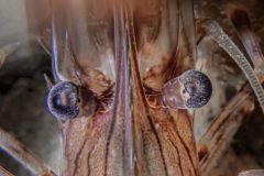 DSC_0825-scaled