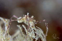 DSC_2624-scaled