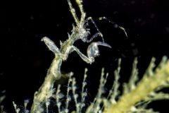 DSC_2730-scaled