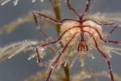DSC_2780-scaled