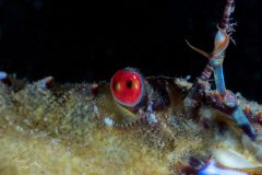 DSC_3870-scaled