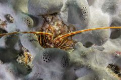 DSC_5381-scaled