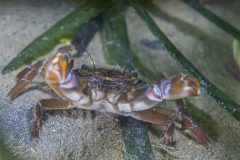 DSC_5801-scaled