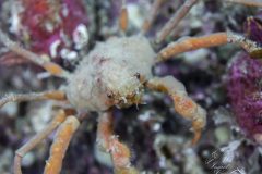 DSC_5834-scaled