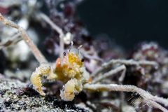 DSC_5838-scaled