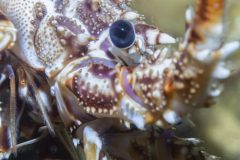DSC_6745-scaled