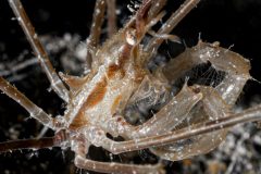 DSC_9039-scaled