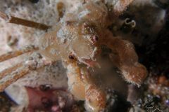 DSC_9139-scaled