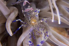 DSC_9649-scaled