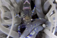 DSC_9662-scaled