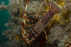 DSC_9841-scaled