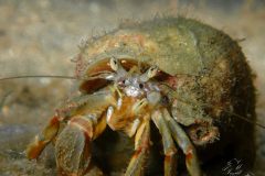 IMG_5316-scaled