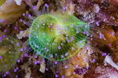 DSC_3907-scaled