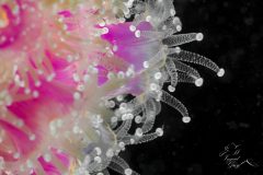 DSC_3947-scaled