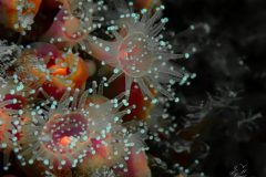 IMG_4309-scaled