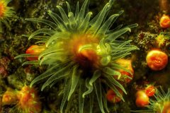 IMG_6539-scaled