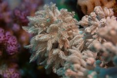 DSC_2037-scaled