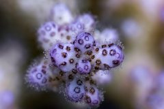 DSC_2044-scaled