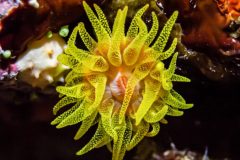 DSC_2122-scaled