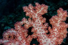 DSC_7312-scaled