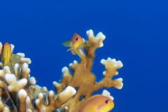 DSC_7348-scaled