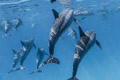 DSC_7508-Recupere-scaled