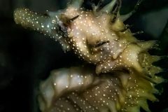 Attachment-1993-scaled