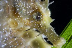 DSC_3986-scaled