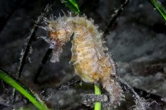 DSC_6422-scaled