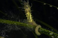DSC_7656-scaled