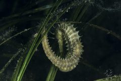 DSC_7680-scaled