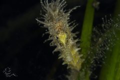 DSC_7701-scaled
