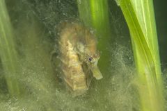 DSC_8010-scaled