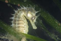 DSC_8026-scaled