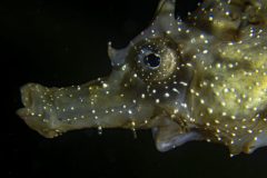 DSC_8837-scaled