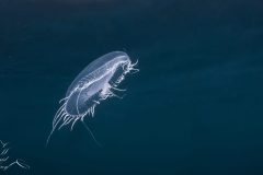 DSC_7910-scaled