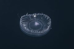 DSC_7939-scaled