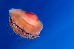 IMG_5461-scaled