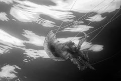 IMG_6350-scaled