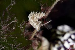 DSC_0017-scaled