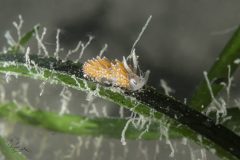 DSC_0613-scaled