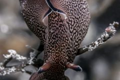 DSC_0800-scaled