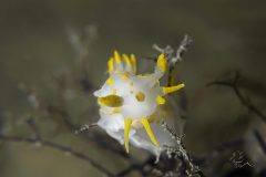 DSC_0819-scaled