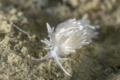 DSC_1055-scaled
