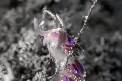 DSC_1116-scaled